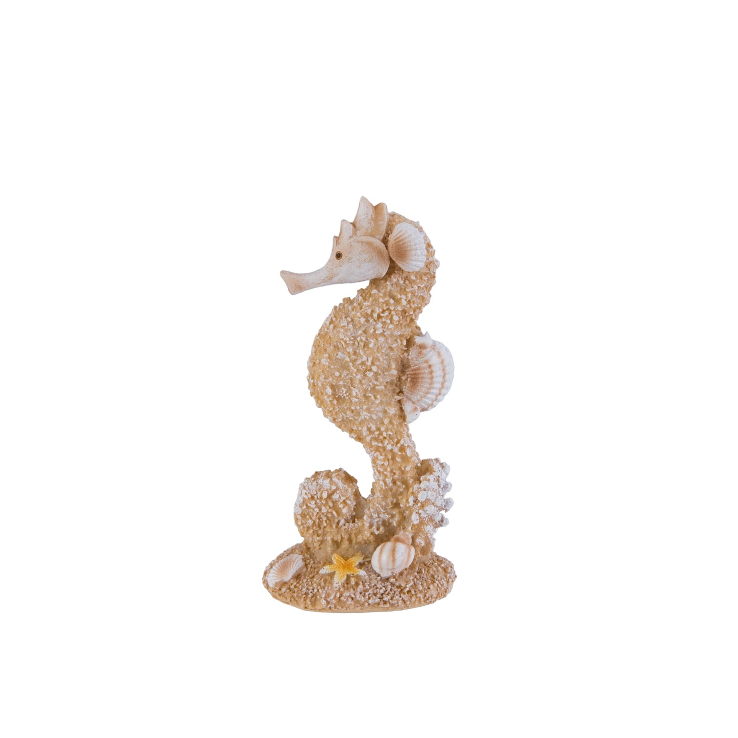 Seahorse
