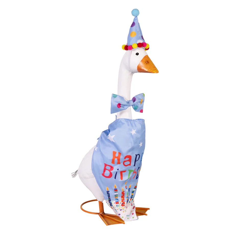 Birthday Boy Goose Outfit