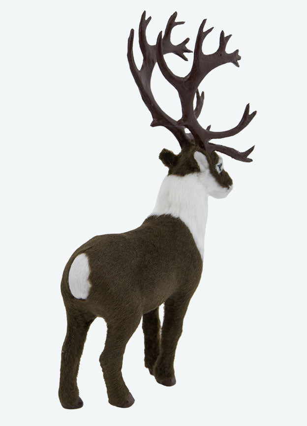 Caribou