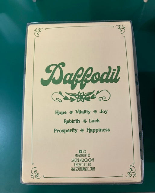 Daffodil Mug