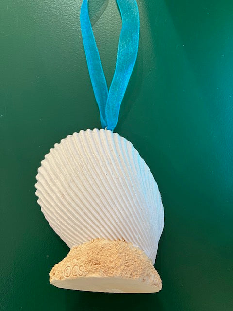 Shell Ocean Scene With Turtle Ornament