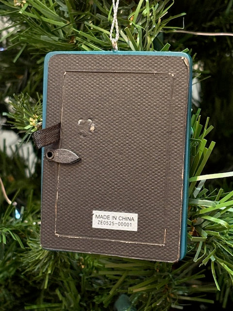 Eagles Lights Frame Ornament