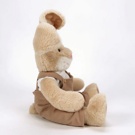 Hoppity McButtons Boyds Bears Plush