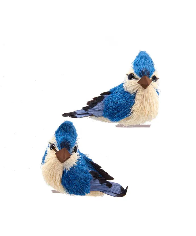 Blue Jay Clip Ornament