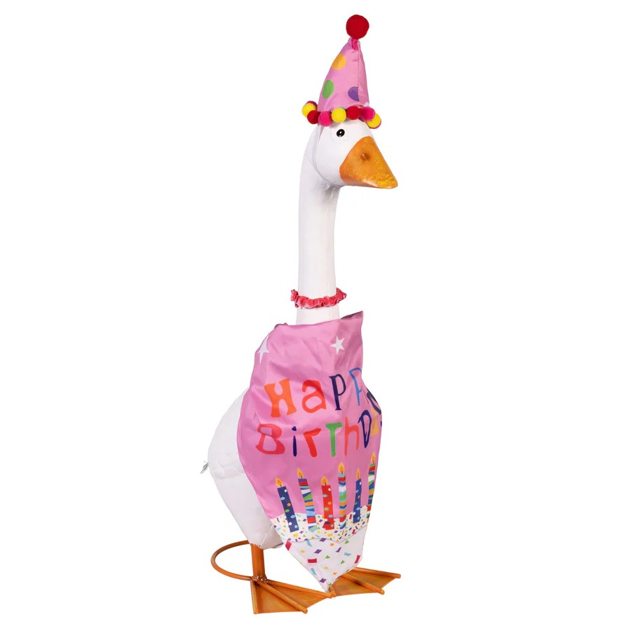 Birthday Girl Goose Outfit