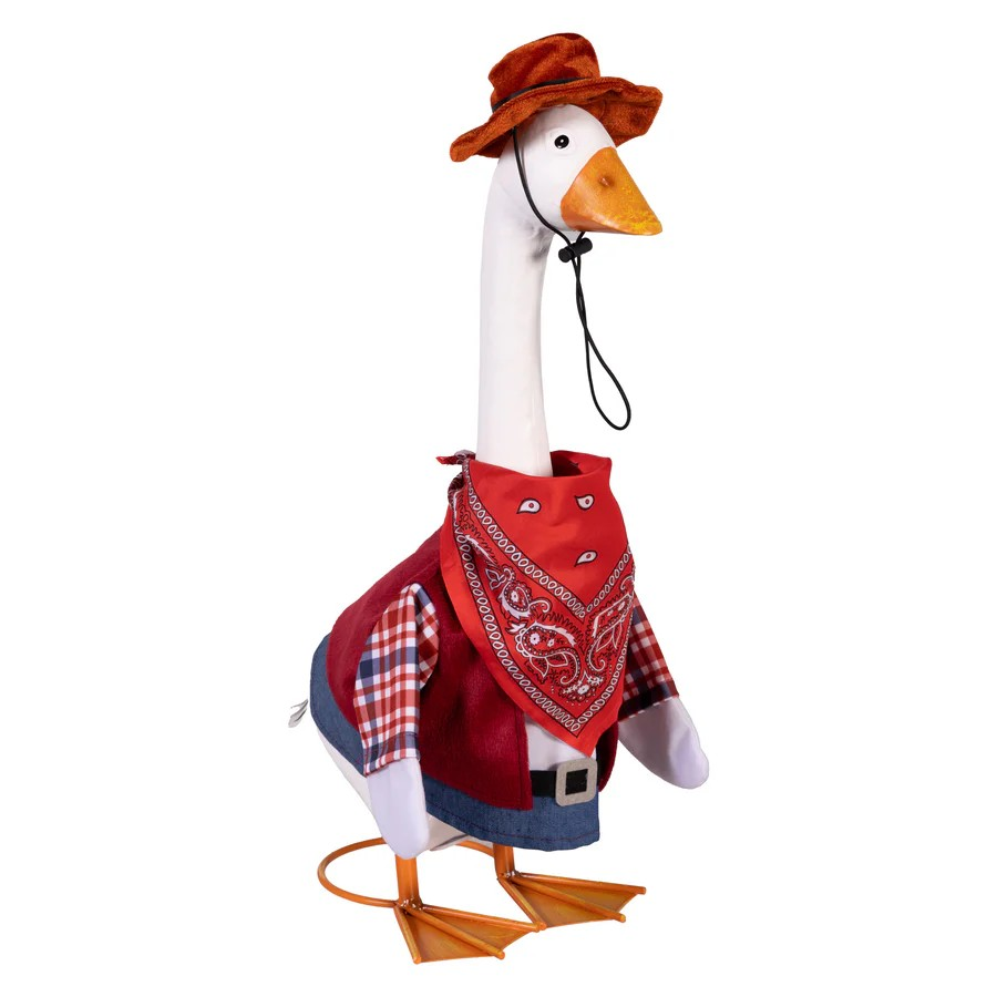 Wild West Goose Outfit