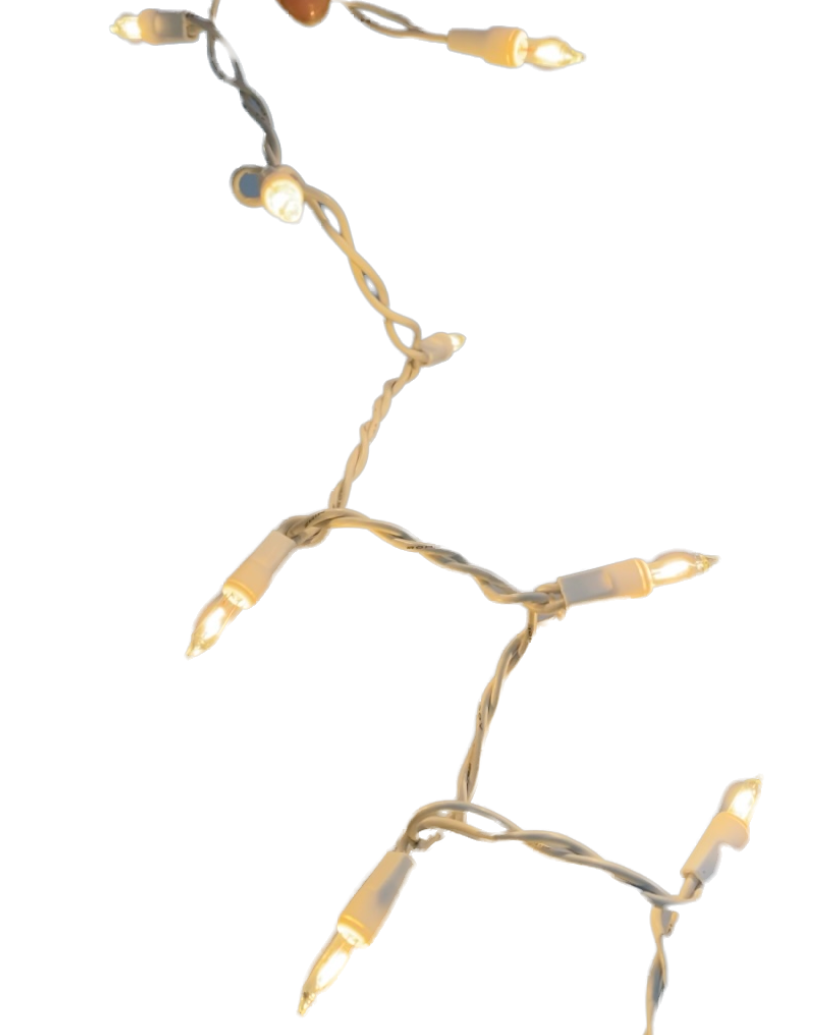 10-Bulb Clear Lights