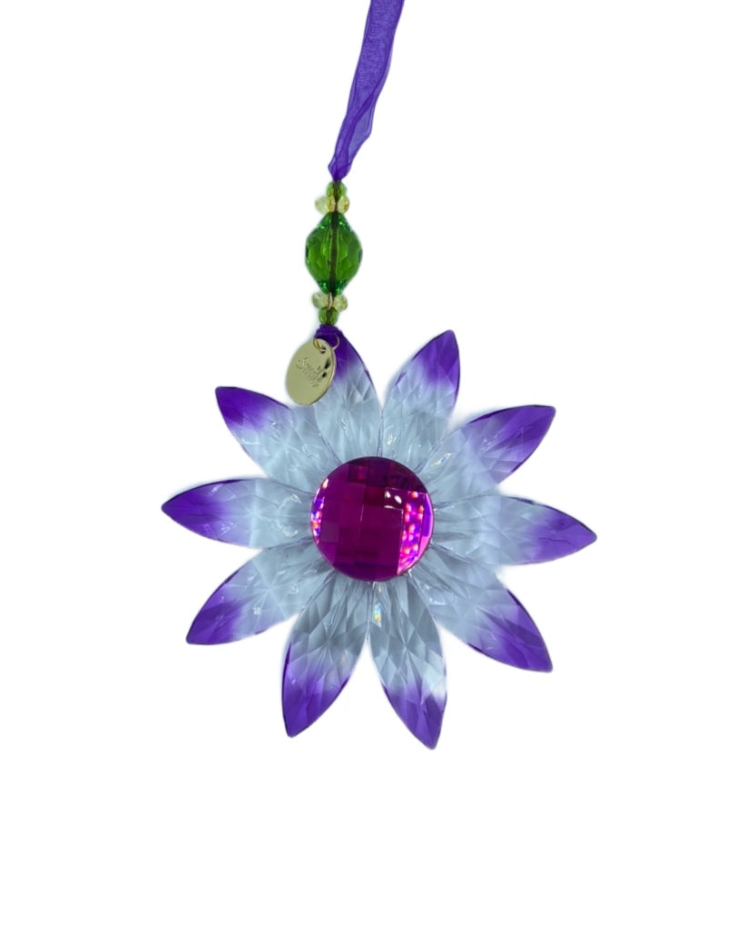 Purple Daisy