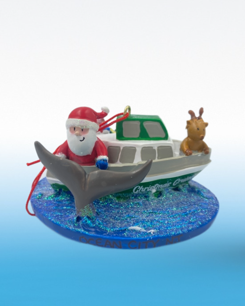 Santa Whale Watch Boat