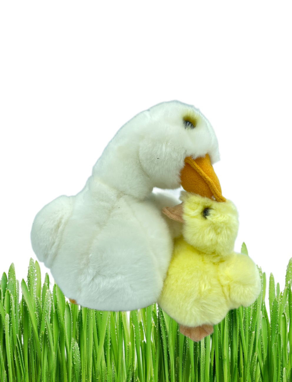 Mother Duck and Duckling