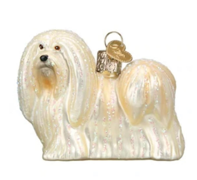 Lhaso Apso