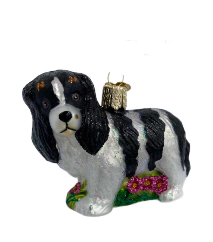 King Charles Spaniel