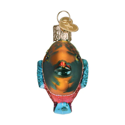 Parrotfish Ornament