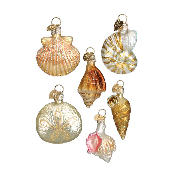 Assorted Sea Shell Set