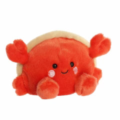 Tide Hermit Crab