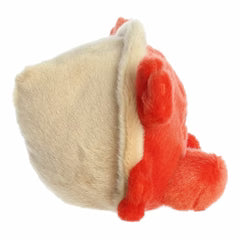 Tide Hermit Crab