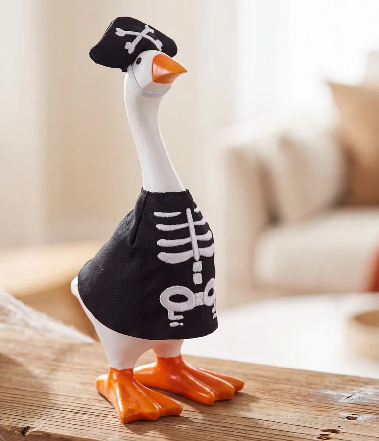Skeleton Set