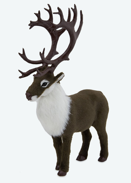 Caribou
