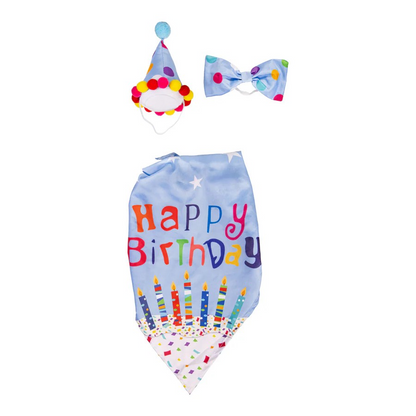 Birthday Boy Goose Outfit