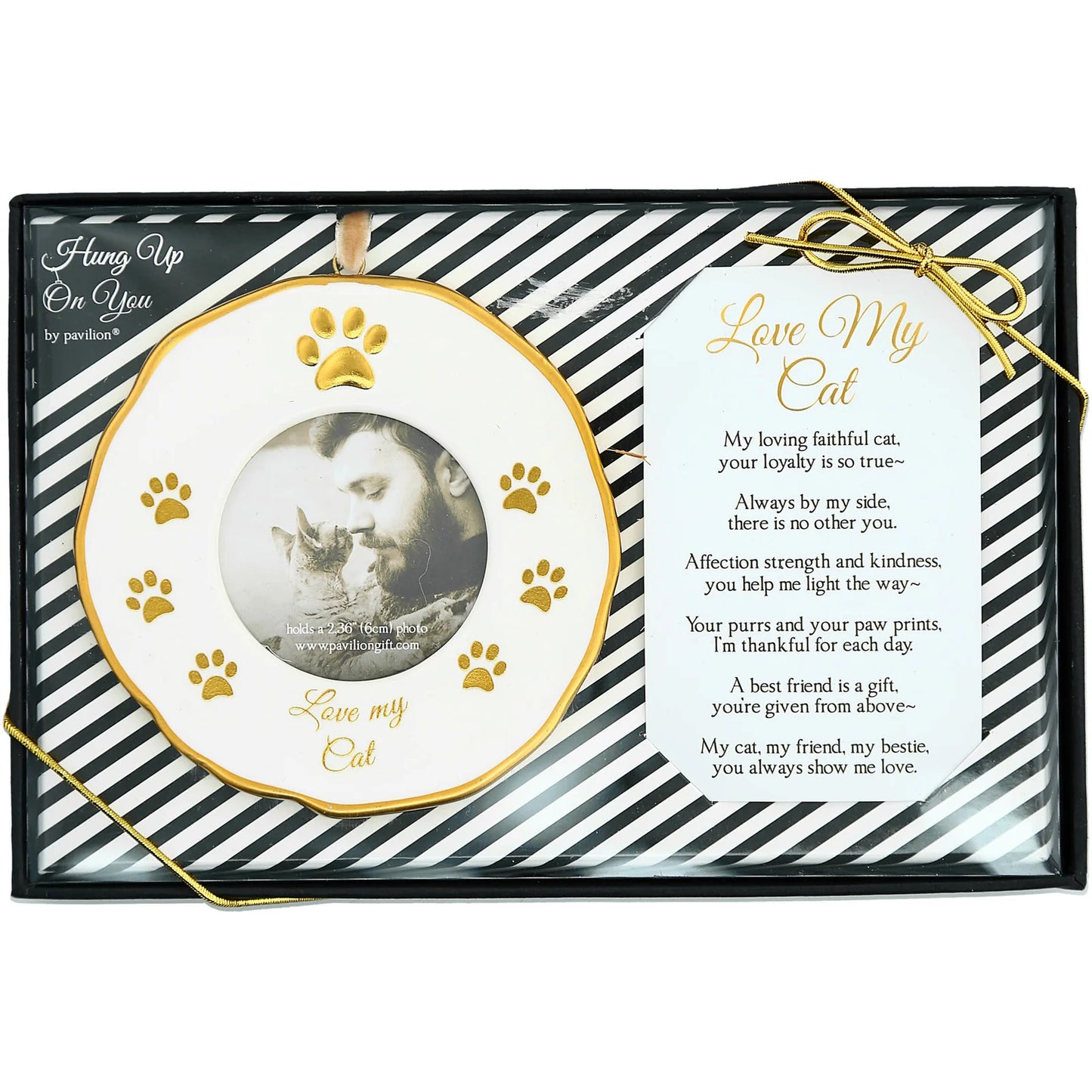 Cat Frame Ornament