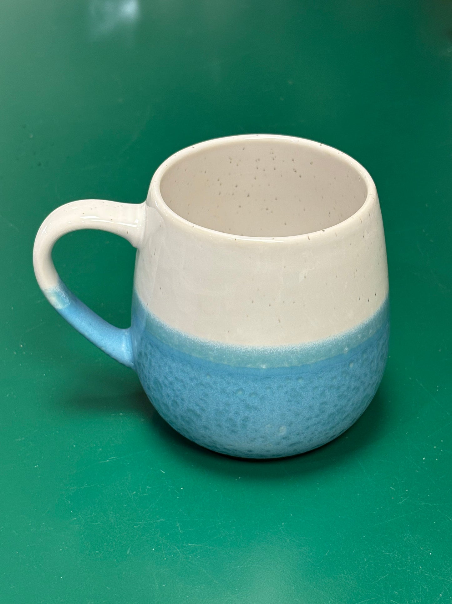 Cove Seagull Mug