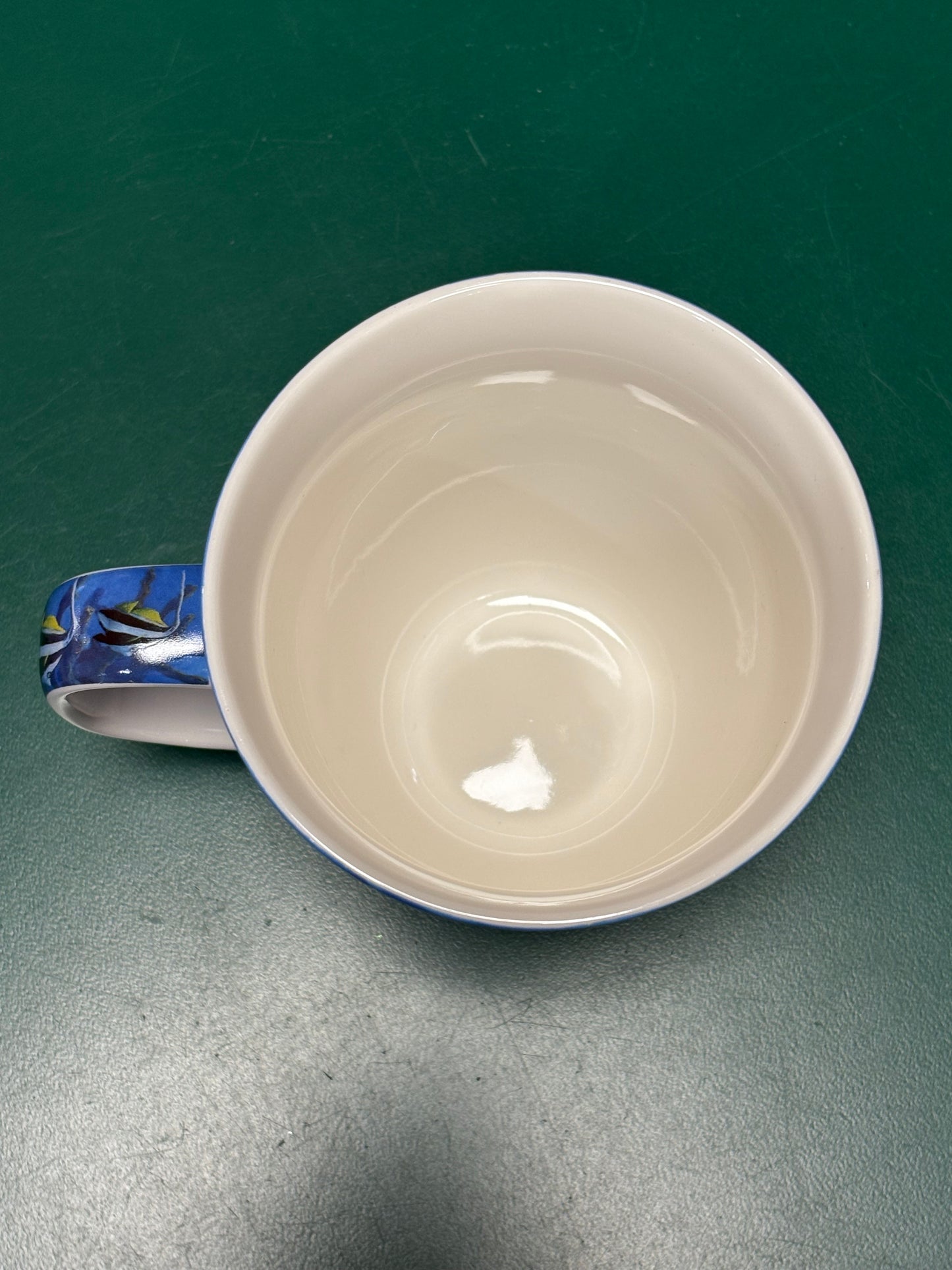 Dolphin Scene Mug