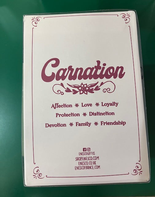 Carnation Mug