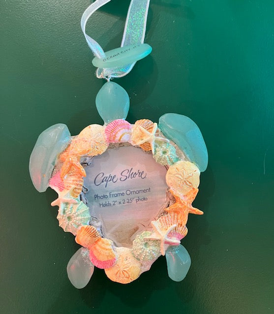 Turtle & Shells Frame Ornament