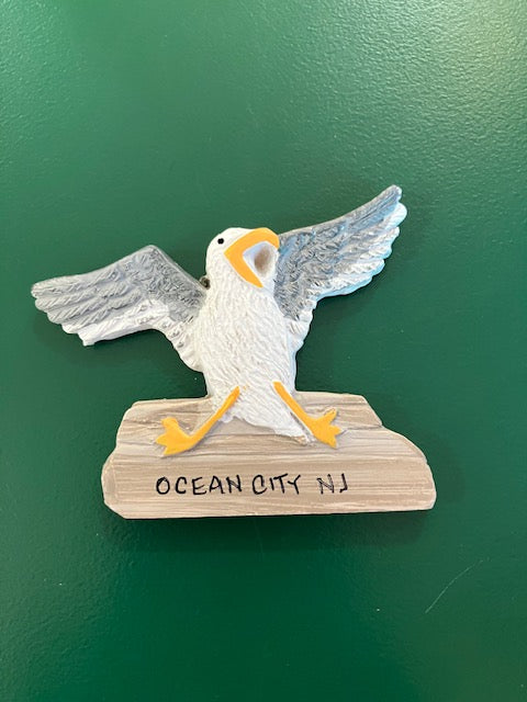 Seagull Magnet