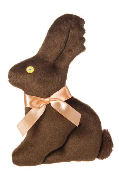 Mr. Chocolate Bunny