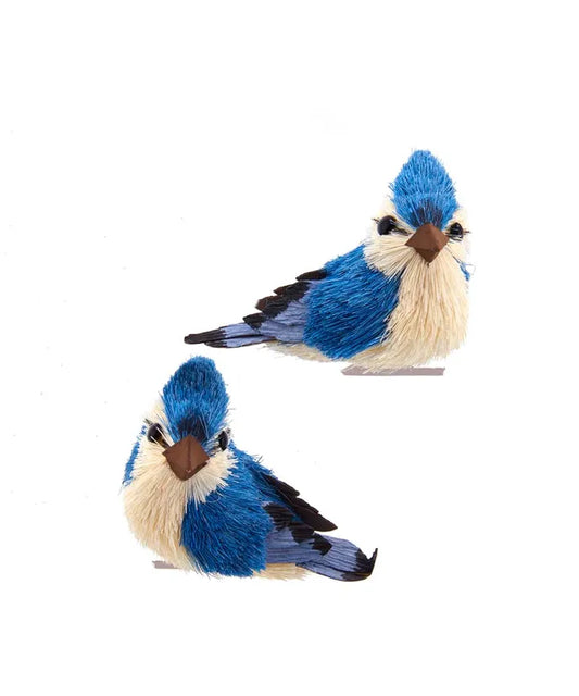 Blue Jay Clip Ornament