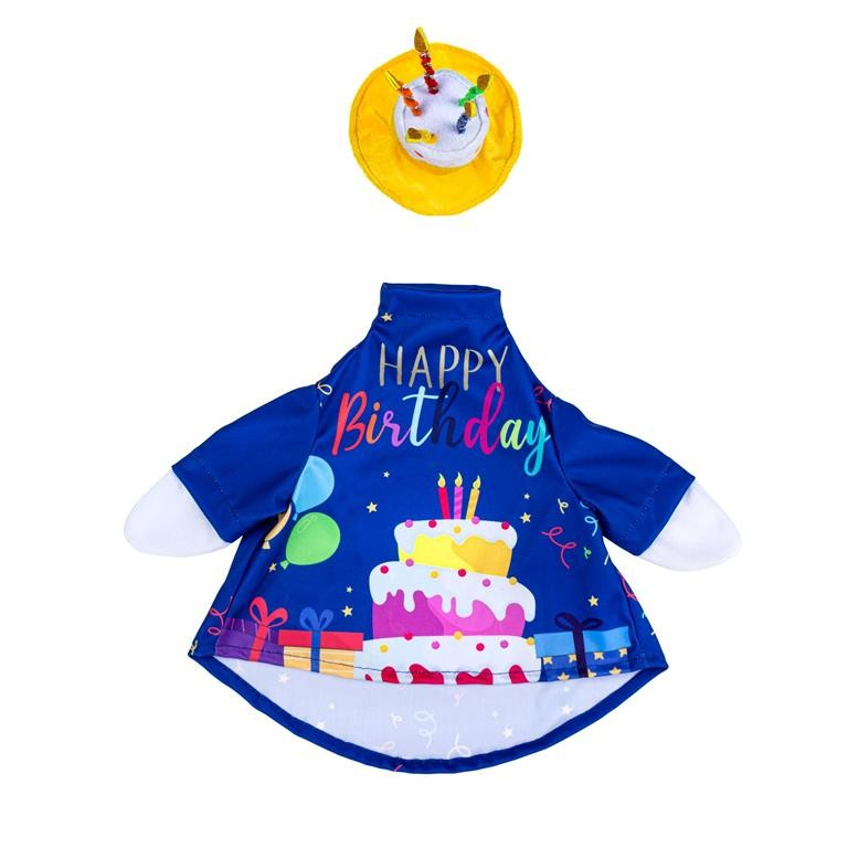 Birthday Goose Outfit