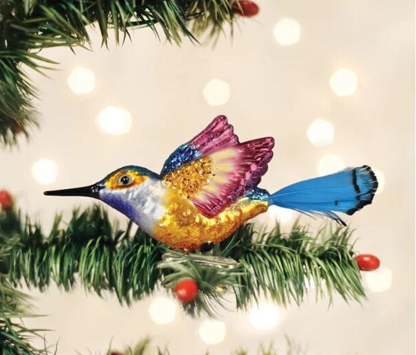 Vibrant Hummingbird