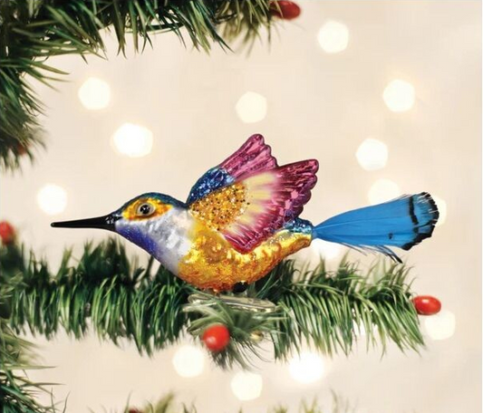 Vibrant Hummingbird