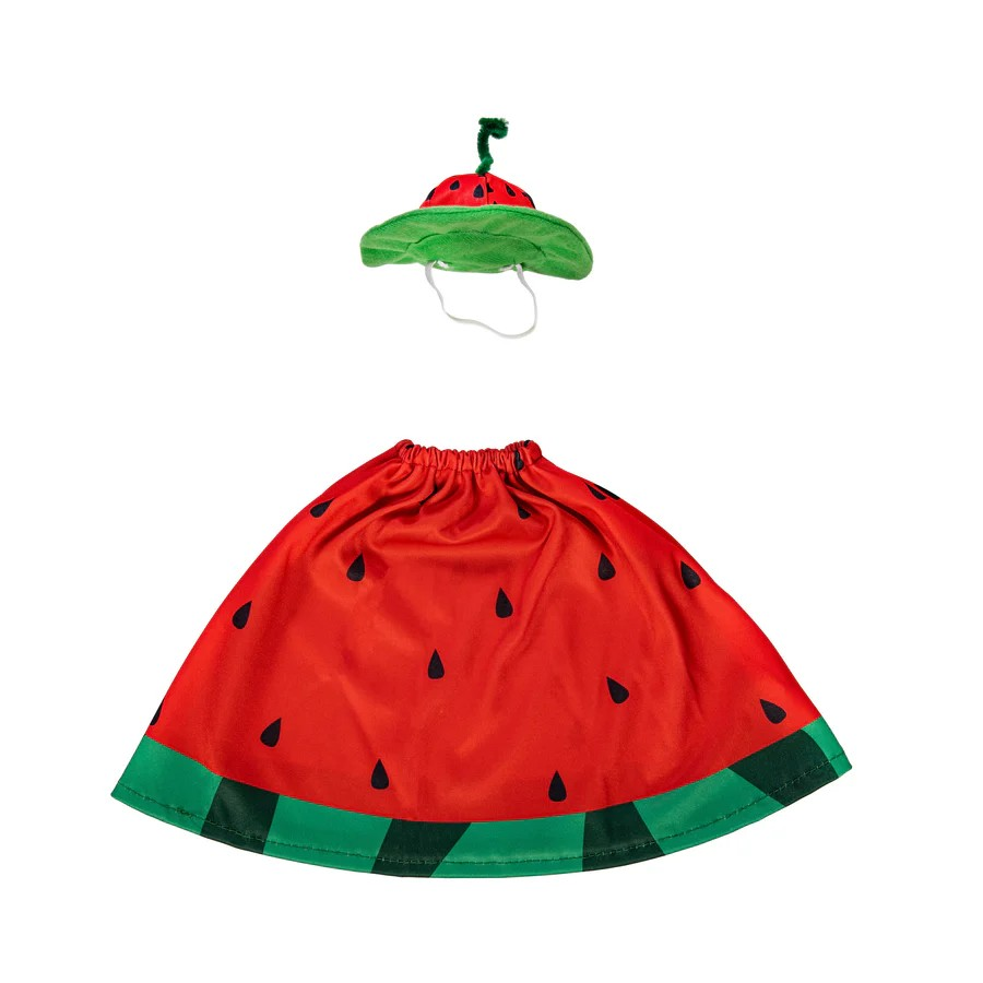 Watermelon Season Goose Outfit
