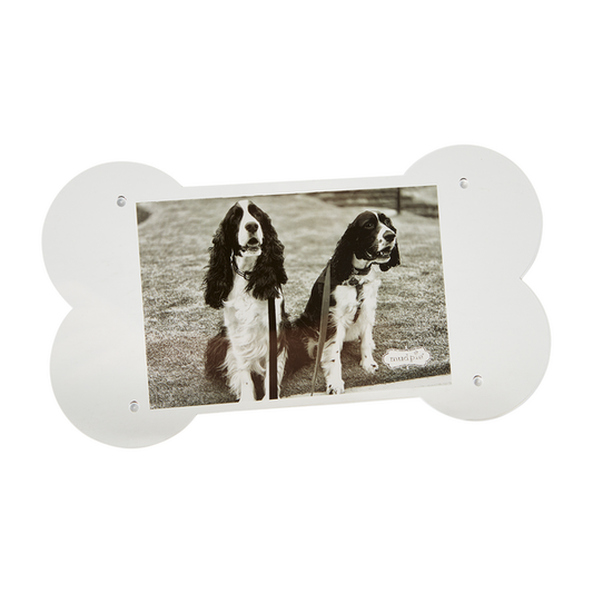 Dog Bone Frame