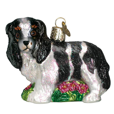 Black/White King Charles Spaniel
