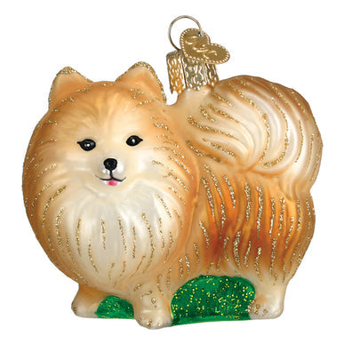 Standing Pomeranian