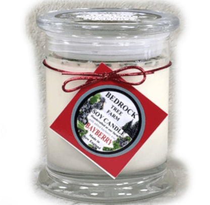 Bayberry Fir 12oz Jar Candle