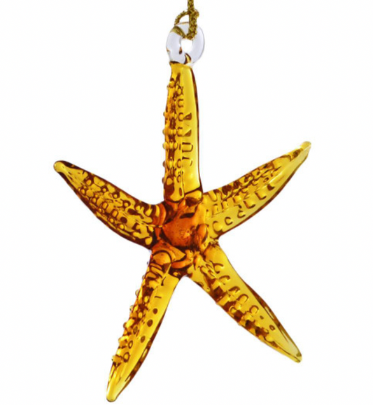 Starfish Egypt Gls Orn