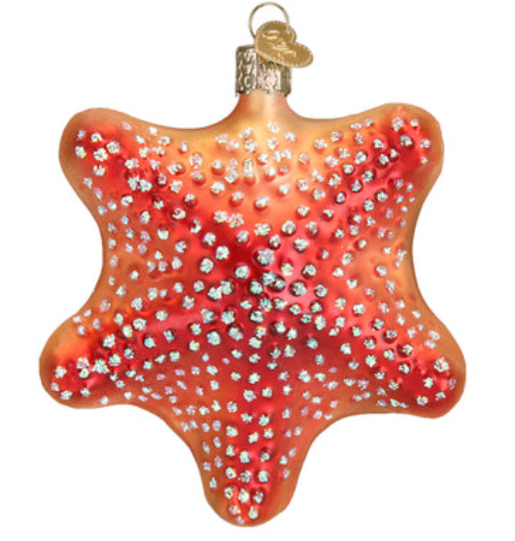 Red Starfish