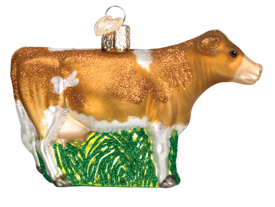 Brown Dairy Cow