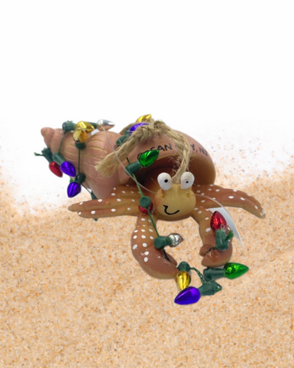 Hermit Crab w/ Lights Ornament