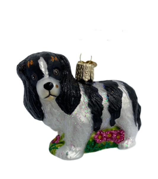 King Charles Spaniel